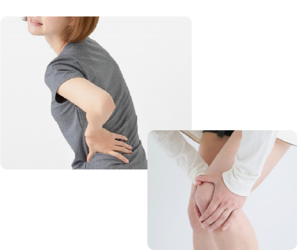 腰痛・背部痛・しびれ・足の打撲・捻挫・下肢の痛み